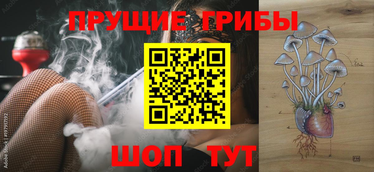 Псилоцибиновые грибы мицелий  Вход с VPN  Псилоцибиновые грибы GOLDEN TEACHER  Спасск-Дальний 